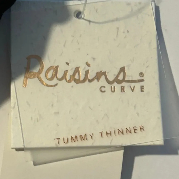 Raisins curve NWT black Keiora swimsuit bottoms size 22W - Picture 6 of 11